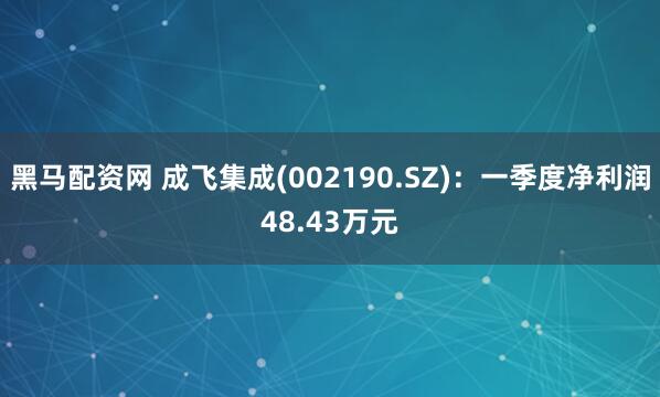 黑马配资网 成飞集成(002190.SZ)：一季度净利润48.43万元